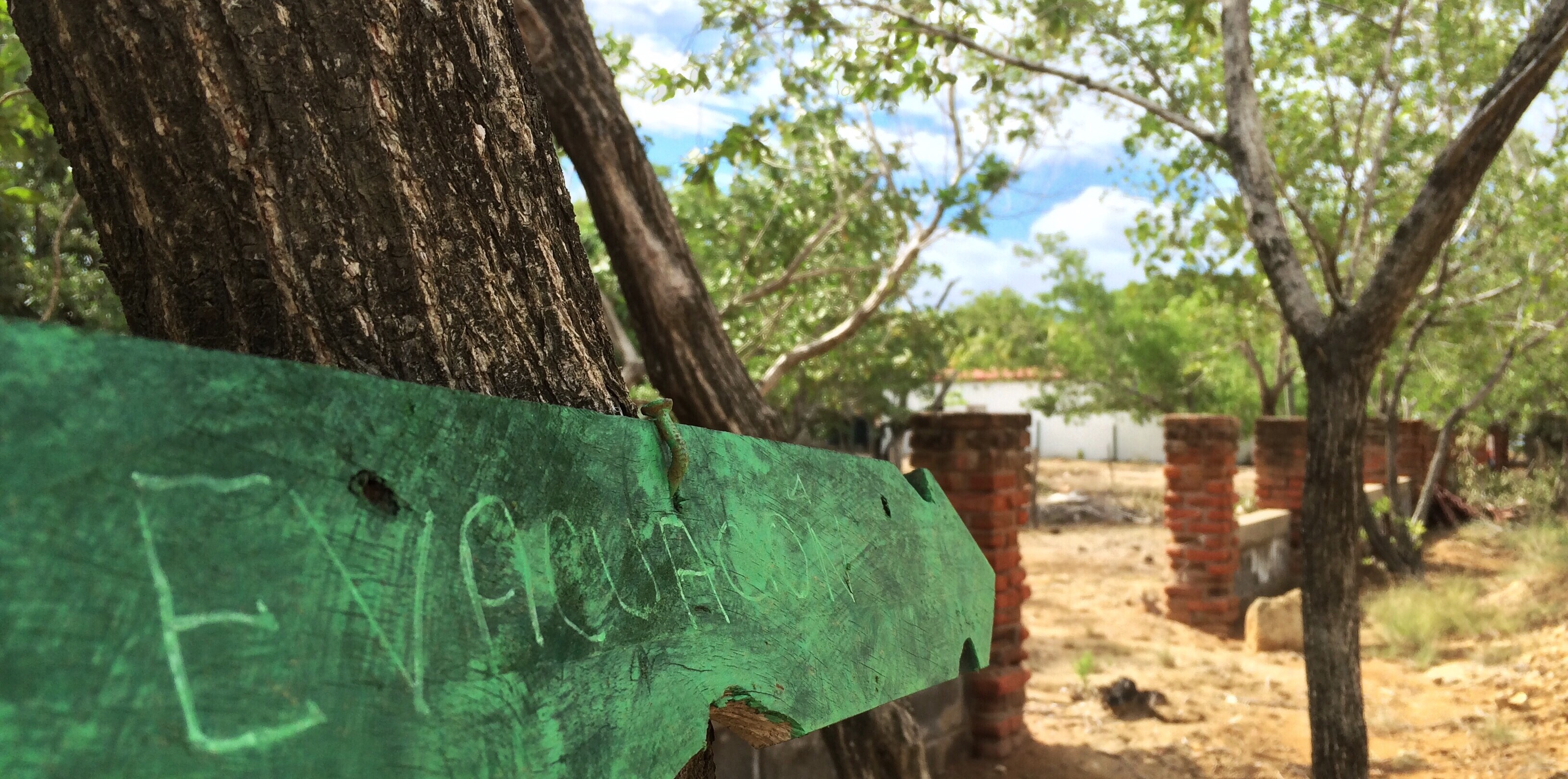 Very official evacuation sign.